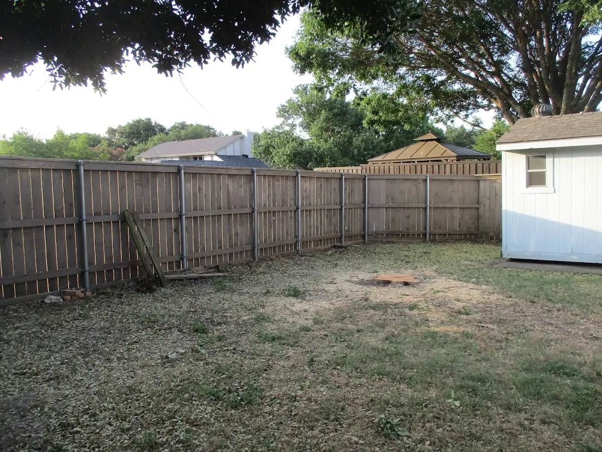 Cleared yard after professional tree removal in Glen Rock